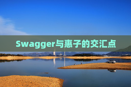 Swagger与惠子的交汇点